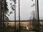участок на финском заливе