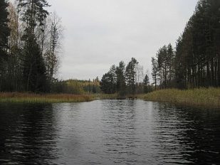 Большой участок на берегу озера Evottu в регионе Mikkeli - код 47725 