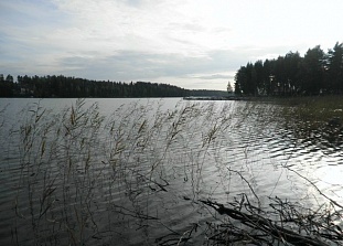 Городской участок на берегу озера в Luumäki - код 49449