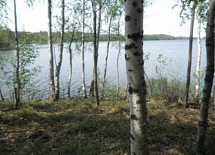 Прекрасный участок на берегу озера Saimaa - код 34073
