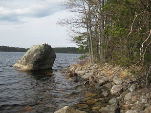 Два замечательных участка на берегу озера Saimaa - код 42684