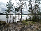    Nuijamaanjärvi  5    -  54283