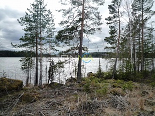 Участок на берегу озера Nuijamaanjärvi в 5 минутах от границы - код 54283