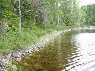 Участок на островной части, в самом центре озерной Финляндии - 47716