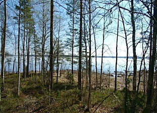 Большой красивый участок на берегу Saimaa недалеко от Puumala - код 42393
