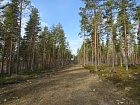 недвижимость в финляндии 