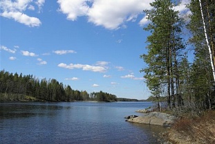 Красивый участок на берегу озера Saimaa - код 31565