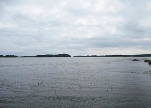 Участок на берегу Балтийского моря, в южной части Финляндии - 48062