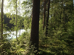 Участок на озере около Savonranta рядом с горнолыжным склоном - код 47610
