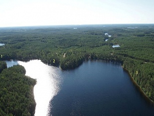 Участки на берегу озера Suurjärvi недалеко от Puumala - код 27991