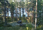 Большой солнечный участок на берегу озера Saimaa - код 30787