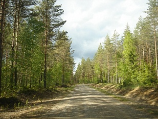 Участок в Ruokolahti на берегу  озера Suuri-Kivistöjärvi - код 49823