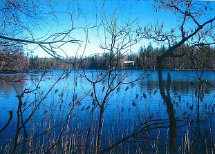 Участок на берегу озера Talvijärvi недалеко от города Savitaipale - код 47565