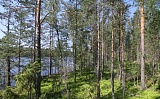 Уникальный участок на берегу озера Saimaa - 38821