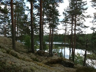 Красивый видовой участок на берегу Saimaa - код 41363