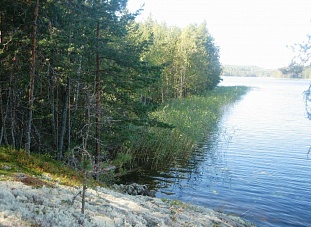 Участок на берегу Saimaa в регионе Mikkeli - код 43162