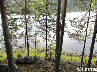 Участок в Savonlinna/Punkaharju на берегу озера Pihlajavesi-код 21242