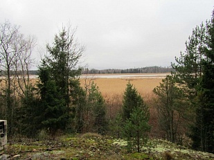 Участок на берегу Финского залива рядом с курортным городком Loviisa - код 48118