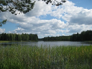 Красивый участок на берегу Saimaa - код 42588 
