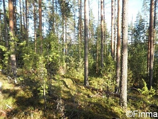 Участки в Savonlinna на берегу озера Pihlajavesi - код 21270