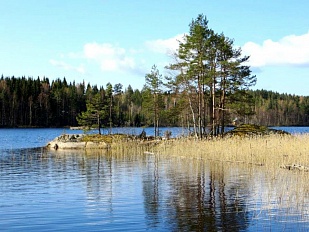 Прекрасный участок с летней дачей на берегу Saimaa - код 40217