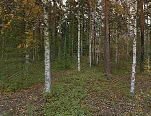 Городской участок в районе Pässiniemi города Imatra - 38384