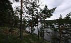Красивый участок на берегу озера Saimaa