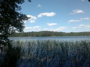 Хороший участок площадью 60 соток на берегу озера Saimaa - код 29711