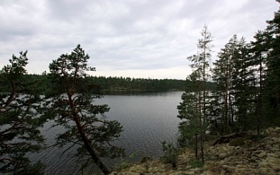 Большой красивый участок на берегу озера Saimaa - код 31147