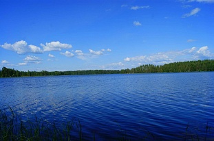 Группа участков на берегу озера Saimaa недалеко от Savonranta - код 42730