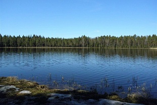 Два соседних участка на берегу озера в Luumäki - код 49427