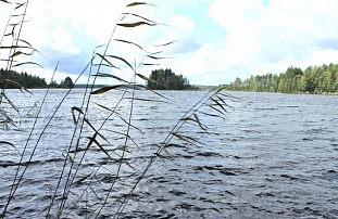 Участок на берегу озера недалеко от города Varkaus - код 49188