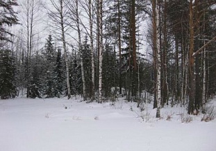 Большой участок на озере Saimaa - код 30835