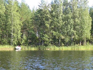 Участок на острове недалеко от Ruokolahti (на берегу Saimaa)