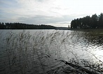       Luumäki -  49449