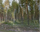        Huhtijärvi    Mäntyharju - 36845