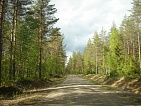   Ruokolahti     Suuri-Kivistöjärvi -  49823
