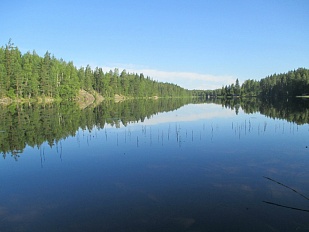 Два соседних участка на чистейшем озере Puulavesi - код 42650
