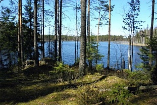 Два соседних участка на берегу озера Kangaslampi - код 42404