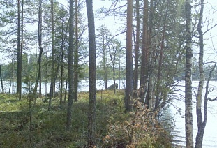 Группа участков на озере Kaituri недалеко от Ruokolahti - код 42138