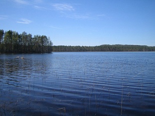 Красивый участок 57 соток на берегу небольшого озера Musta Ruokojärvi - код 27915