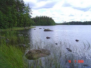 Участки недалеко от Ruokolahti, на берегу озера  Nousiinjärvi - код 3962
