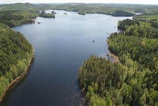 Группа участков на озере Närtejärvi - код 42145