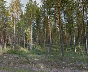 Четыре красивых участка на берегу озера  Huhtijärvi недалеко от города Mäntyharju - 36845