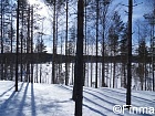 земля в Финляндии на Сайме