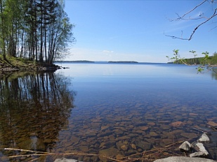Живописный участок на берегу озера Päijänne - код 30839